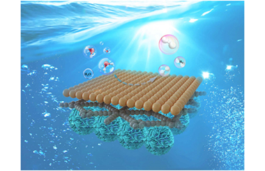 Charge transfer optimization: role of Cu-graphdiyne/NiCoMoO4 S-scheme heterojunction and Ohmic junction 2024.100458